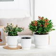 thumbnail image 4 of Euaioeiu Self Watering Vegetationer Pots for Vegetations Indoor,Modern Decorative Flower Pot with Wick Irrigation Sy,Ceramic Look Resin Vegetationers for Home Desk Decor,Herbs Small HouseVegetations, 4 of 10