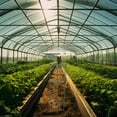 thumbnail image 4 of FESTFENDS 1 Set Plant Support Garden Tomato Cages Simple Design Green Iron For Gardening Novices, 4 of 7