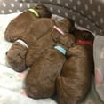 View all media