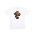 thumbnail image 1 of Dachshund Print T Shirt, XXXL, 1 of 1