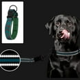 thumbnail image 5 of Adjustable Dog Collar, Strong and Durable Pet Training Leashes for Small, Medium, and Large Dogs, 5 of 5
