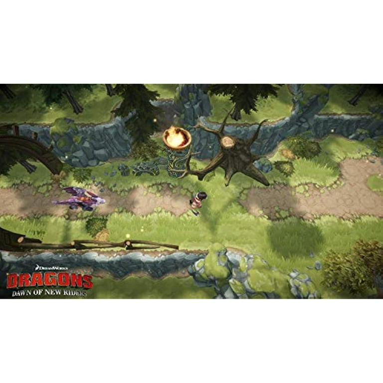Dragon dawn of hotsell new riders switch