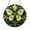Acrylic 3.5 Inch, variant on Moth Wing Stained Glass Style Suncatcher, Decorative Window Hanging with Nature Inspired Insect Illustration and Balanced Composition