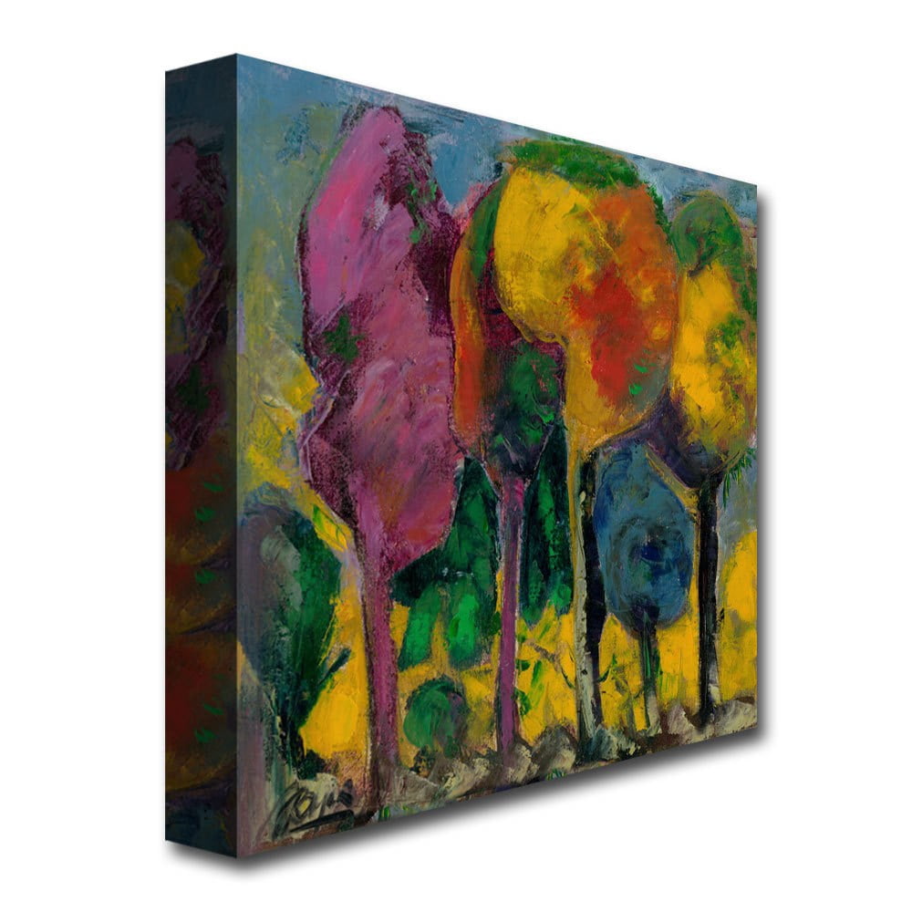 Trademark Fine Art "Puesta de sol" Canvas Art by Boyer