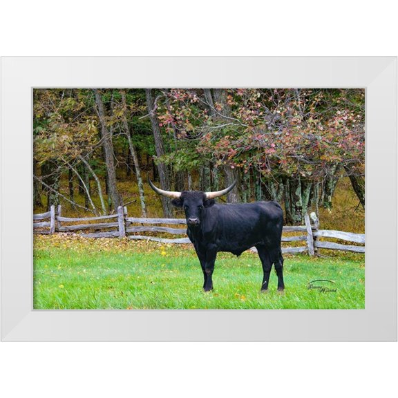 Murdock, Ramona 14x11 White Modern Wood Framed Museum Art Print Titled - Black Steer