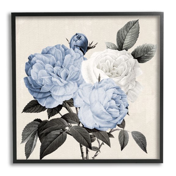 Stupell Industries Antique Blue Rose Blooms Botanical & Floral Painting Black Framed Art Print Wall Art, 24 x 24