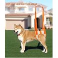 thumbnail image 3 of Cinturón auxiliar naranja para perros (cintura S 28-36 cm, pierna 17 cm), soporte de cinturón de elevación de malla para perros, cinturón de equilibrio para ejercicios de rehabilitación con correa pa, 3 of 5