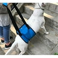 thumbnail image 6 of UOSIA Dog Lift Support Harness Walk Aid Sling Rehabilitation Belly Limb Belt Pet Recovery, 6 of 6
