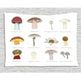 thumbnail image 1 of Mushroom Tapestry, Colorful Fungi Pattern Blusher Boletus Sketch Style Plants Autumn Illustration, Wall Hanging for Bedroom Living Room Dorm Decor, 60W X 40L Inches, Multicolor, by Ambesonne, 1 of 2