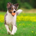 thumbnail image 2 of ZheElen Cat Toy Ball Strong Battery Automatic Obstacle Avoidance Remote Control Which Are Good For Teeth English Orange Remote control, 2 of 6