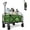 Green, variant on Collapsible Utility Cart Folding Wagon, 220 lbs Capacity Lightweight Rolling Cart with Quiet Wheels, Quick-Fold Design for Camping, Shopping, Outdoor Use, Green