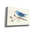 thumbnail image 2 of Epic Graffiti 'Birds and Blossoms II' by Courtney Prahl, Canvas Wall Art, 26"x18", 2 of 2