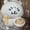 Terms and Conditions, variant on 30cm Anime Kawaii Nagano Plush Doll Self-deprecating Bear Chiikawa Sweat Bear Doll Pillow Bedroom Ornaments Toy Decoration Gift