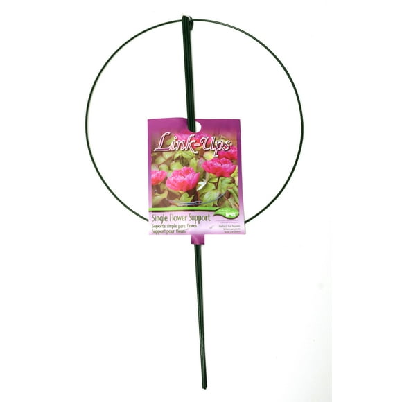 Peonía individual grande Flower Support Luster Leaf 987