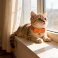 thumbnail image 4 of BotaniNest Reflective Nylon Collar With Quick Release Buckle For Secure Comfortable Daily Walks And Training, 4 of 6