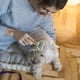 thumbnail image 4 of Cepillo para Rastrillo de Capa Inferior, Peines para Gatos para el Cuidado de Gatos de Pelo , Rastrillo de Capa Inferior de Doble Cara, Rastrillo para Desenredar Mascotas A, 4 of 10