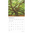 thumbnail image 3 of Majesty of Trees 2025 12 X 24 Inch Monthly Square Wall Calendar Plastic-Free (Wall), 3 of 9