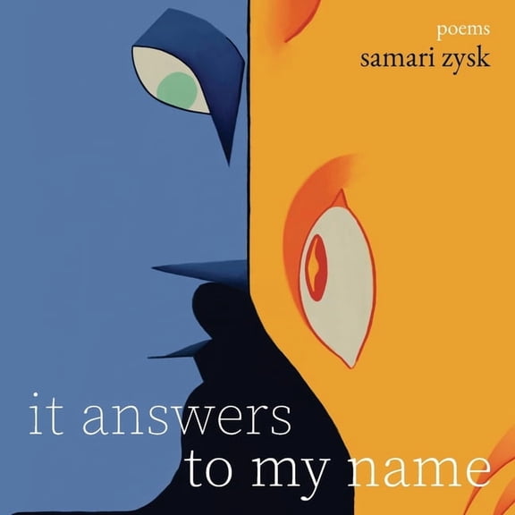 it answers to my name, (Paperback)