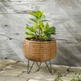 thumbnail image 1 of Hometrends 11 INCH WOVEN FOOTED PLANTER, 1 of 8