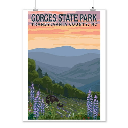 Gorges State Park, Transylvania County, North Carolina - Bears & Spring Flowers - Lantern Press Artwork (9x12 Art Print, Wall Decor Travel