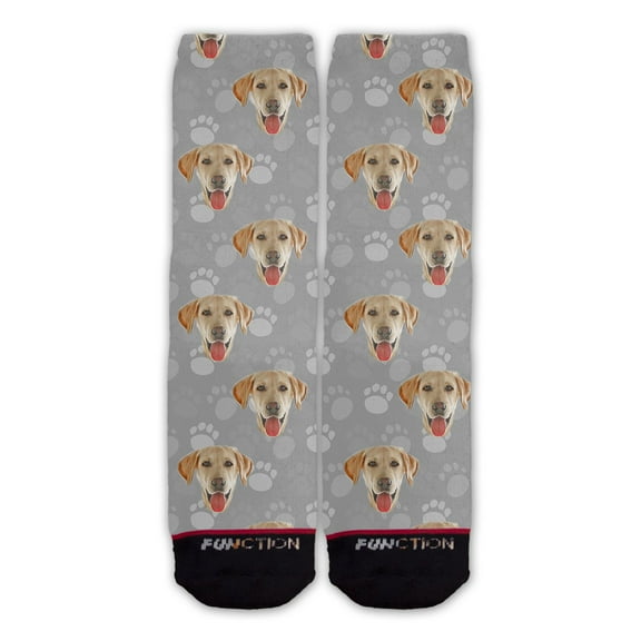 Function - Labrador Dog Face Fashion Socks Pattern