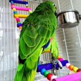 thumbnail image 3 of Multicolor Ladder Bridge Budgie Parrot Climbing Bite Toy Parakeet Swing Bird Toy Bird Supplies Handmade, 3 of 5