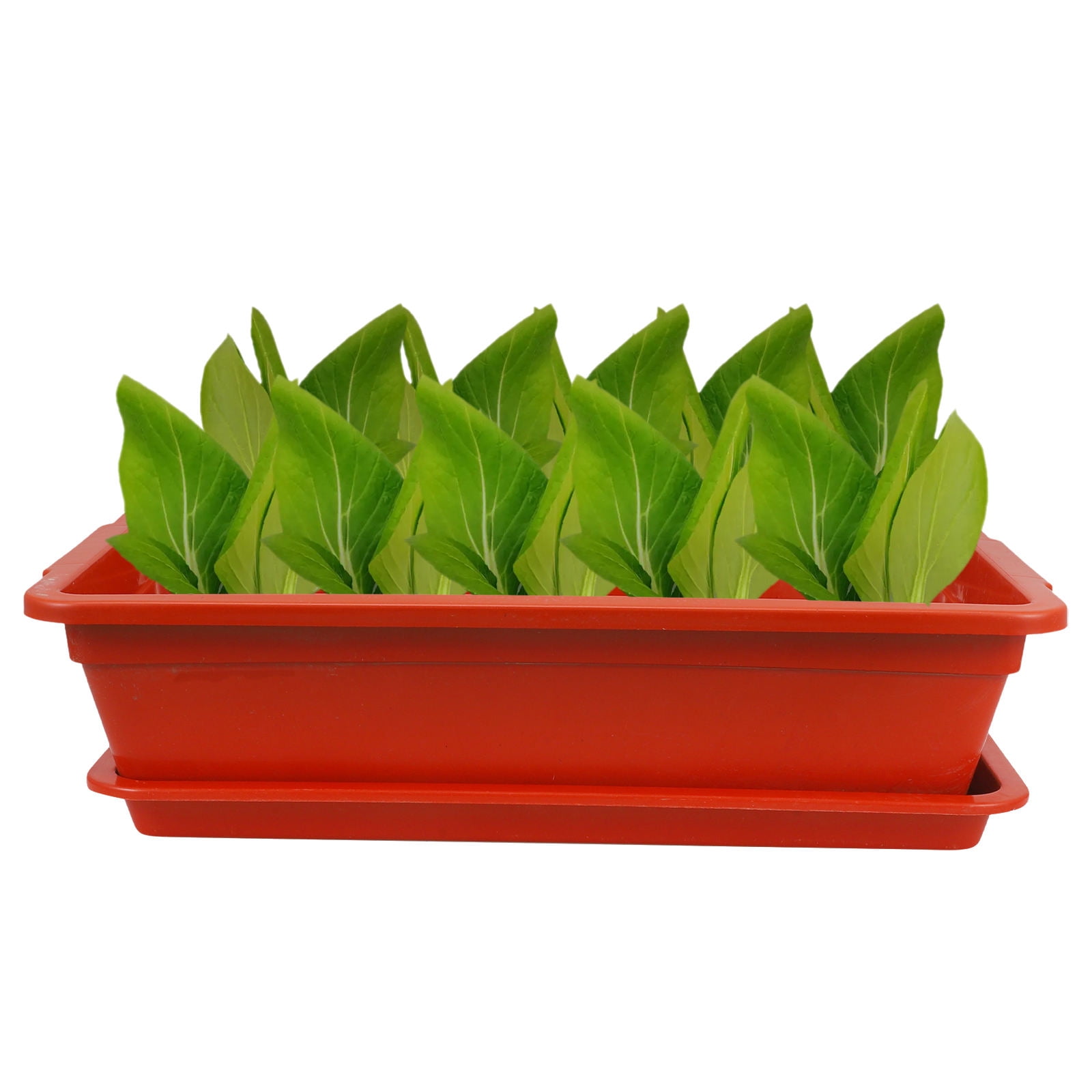 PBPBOX 2pcs Window Box Planter Durable Plastic Flower Pot with Saucer for Gardening Succulents