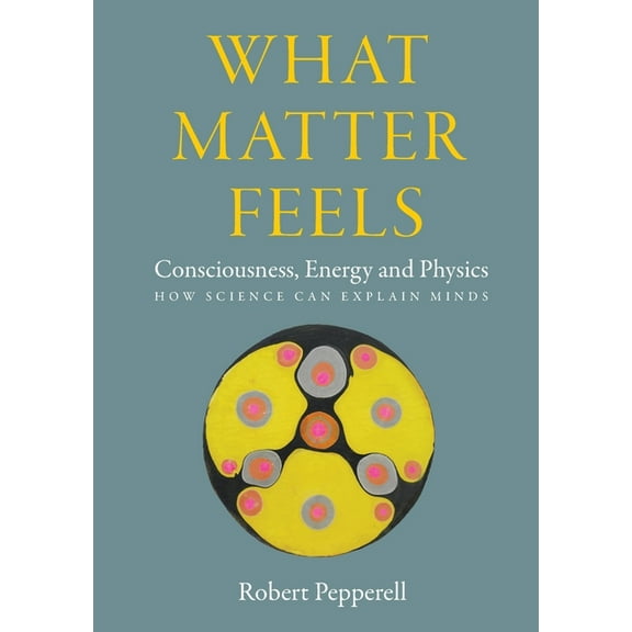 What Matter Feels: Consciousness, Energy and Physics (How Science can Explain Minds), (Paperback)