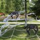 thumbnail image 5 of Tela de araña triangular de Halloween Tela de seda de araña negra de simulación de algodón (D), 5 of 9