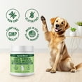 Special Breed Green Lipped Mussels Premium Joint Supplement for Dogs & Cats Mobility (250