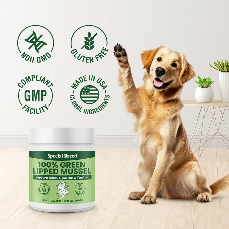 Special Breed Green Lipped Mussels for Dogs Cats Premium Joint Supplement Powder for Hips Joints and Muscles 75 Grams 250 Servings