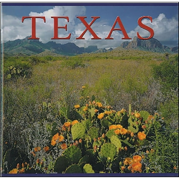 America: Texas (Paperback)