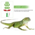 thumbnail image 2 of Pet Leash Set Lizard Cool Leather Wings Adorable Bearded Dragon Costume Decor, 2 of 6