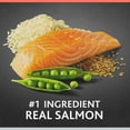 thumbnail image 3 of Pure Balance Pro+ Senior Salmon & Brown Rice Recipe Dry Dog Food, 8 lbs, 3 of 12