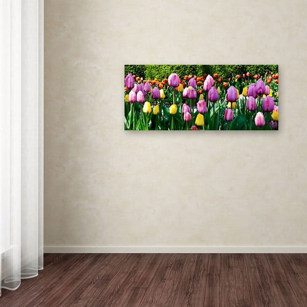 Trademark Fine Art "Row of Tulips" Canvas Art by Kurt Shaffer