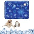 thumbnail image 2 of Cooling Mat Cool Pillow Ice Pillow 15.7x11.8 inch Summer Gel Cushion Soft Summer Water Cooling Seat Cushion Dormitory Ice Cushion Ice Cooler Cushion for Office Chair & Car Seat Cushion, 2 of 8