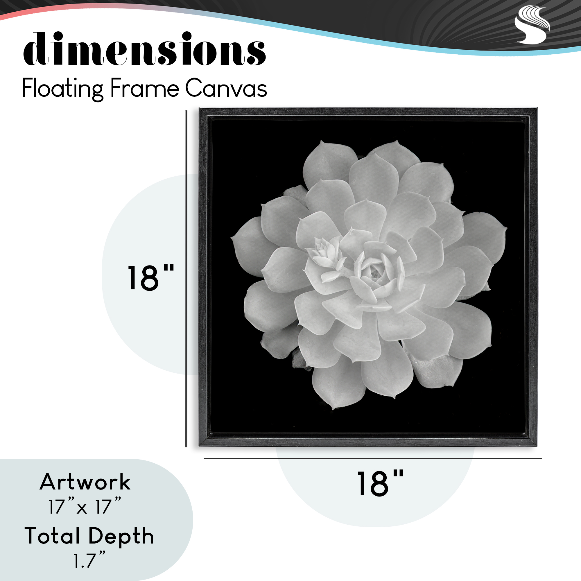 Pure White Succulent Contrast Black Framed Floater Canvas Wall Art, design by Phillip Flowers