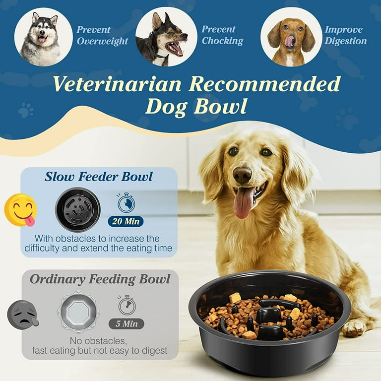 Obstacle dog food bowl clearance