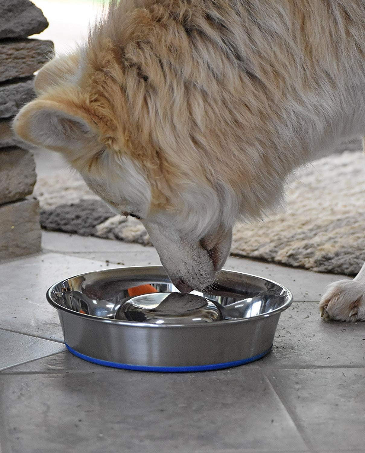 OurPet's Durapet Slow Feed Premium Stainless Steel Dog Bowl, Silver, Large (2040010302)