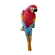 thumbnail image 1 of Estatua de pájaro en miniatura creativa para decoración de loros en el jardín o en el interior. Rojo, 1 of 8