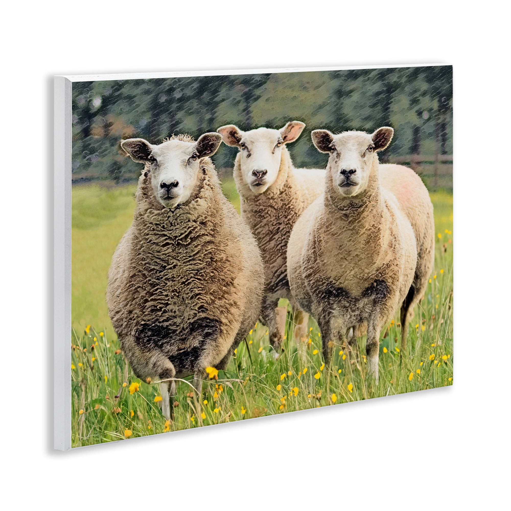 Stupell Industries Sheep Grazing in Grass Animals & Insects Painting Unframed Art Print Wall Art, 14 x 11