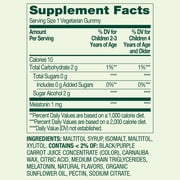 (3 pack) Spring Valley Zero Sugar Kids Melatonin Sleep Support Dietary Supplement Gummies, Blackberry and Raspberry, 1 mg, 60 Count