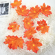 thumbnail image 4 of Decoraciones de Acción de Gracias para el hogar, guirnalda de hojas de arce con luces, funciona con pilas, resistente al agua, 4 of 6