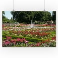 thumbnail image 2 of Portland, Oregon, Rose Garden Overview (16x24 Giclee Gallery Art Print, Vivid Textured Wall Decor), 2 of 3