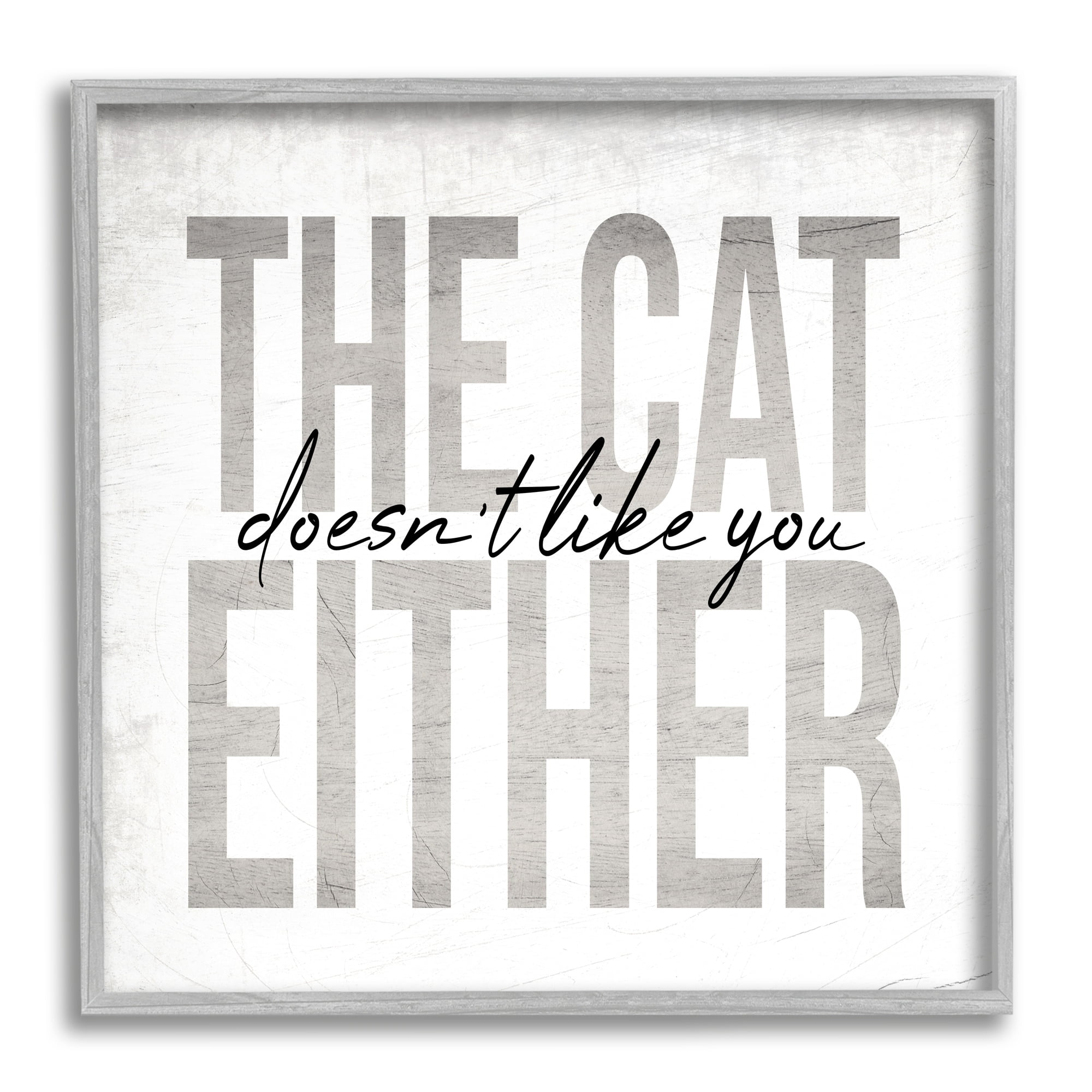 Stupell Industries The Cat Doesn't Like You Either Pet Phrase, 24 x 24, Design by Daphne Polselli