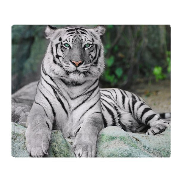 CafePress White Tiger Soft Fleece Throw Blanket, 50"x60" Stadium