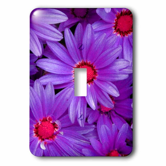 3dRose, Purple Gerbera Daisies , single toggle switch