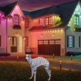 thumbnail image 4 of TIELUTT Halloween Pet Horrible Theme Pet Clothing Interesting Pet Accessories for Pet Clothes Pet Clothes Rack Small Pet Clothes for Medium Dogs Pet Clothes for Medium Dogs Boys Pet Clothes Hangers, 4 of 8