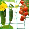 thumbnail image 3 of Plant Climbing Net Nylon Net Trellis Support Net Garden Net For Climbing Plants Plants Garden Fence Mesh Anti-Bird Net, 3 of 8