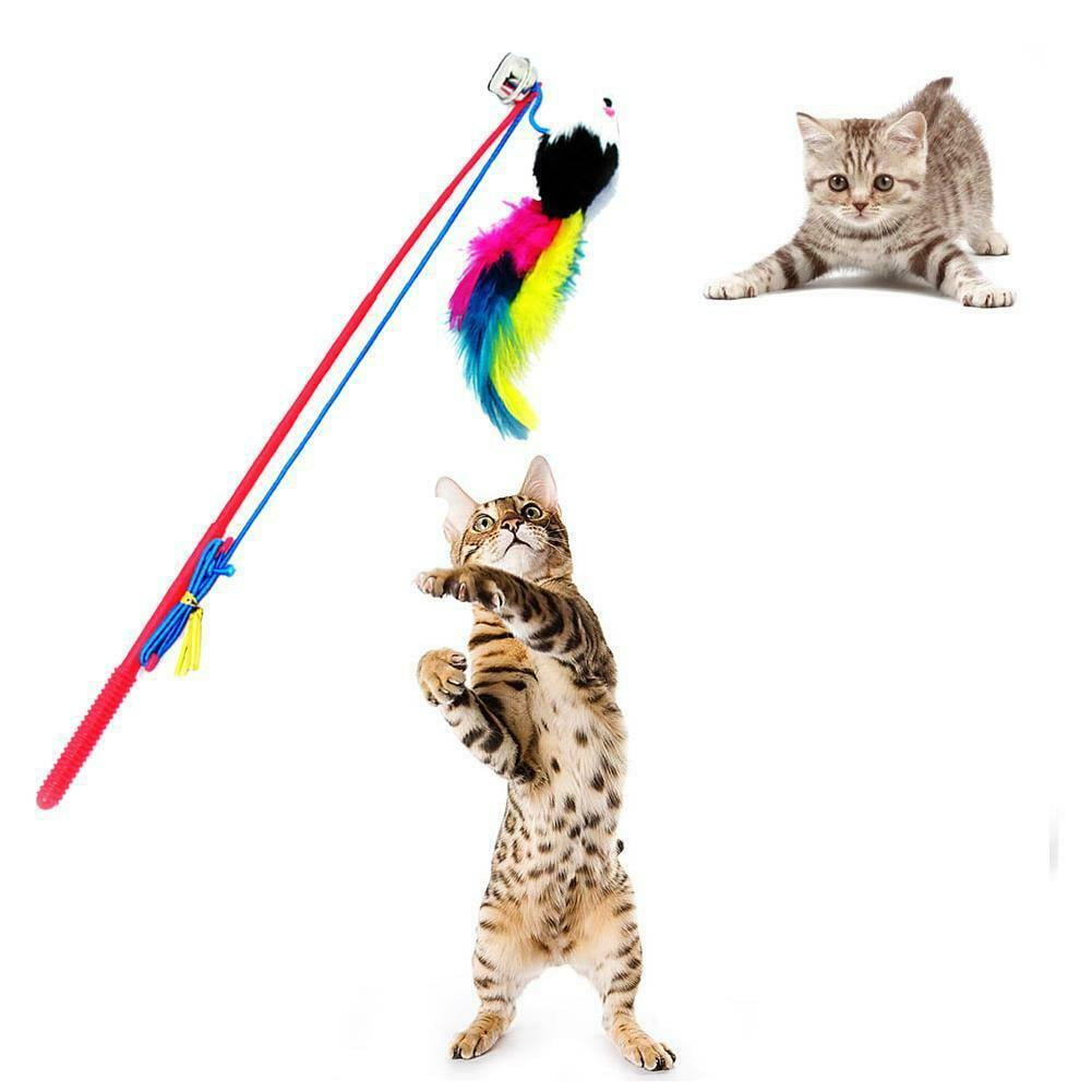 Custom Wholesale Good Quality Pet Toy Cat Stick with Feathers Interactive Cat  Toys Teaser Stick Fishing Rod Toy for Cat - China Rod Toy for Cat and Pet  Toy Cat Stick price